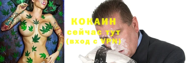 ALPHA PVP Пролетарск