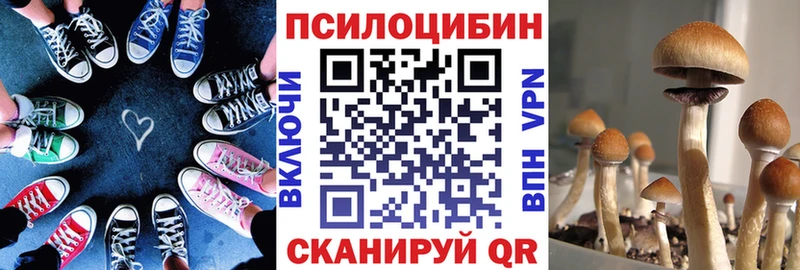 Галлюциногенные грибы Cubensis  kraken ТОР  Пласт 